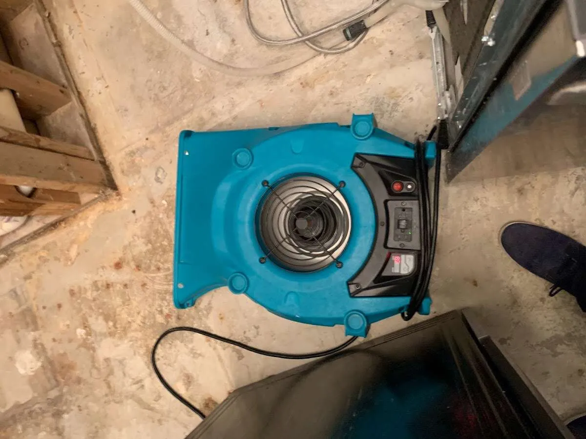 Air mover drying equipment for Mold Remediation & Removal in Hazel Park